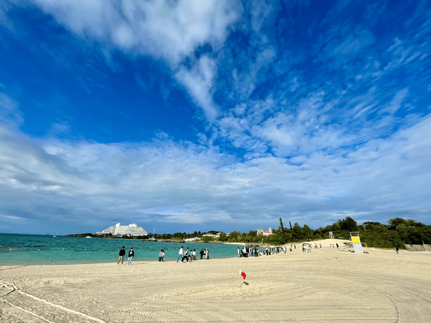 作業途中の海岸