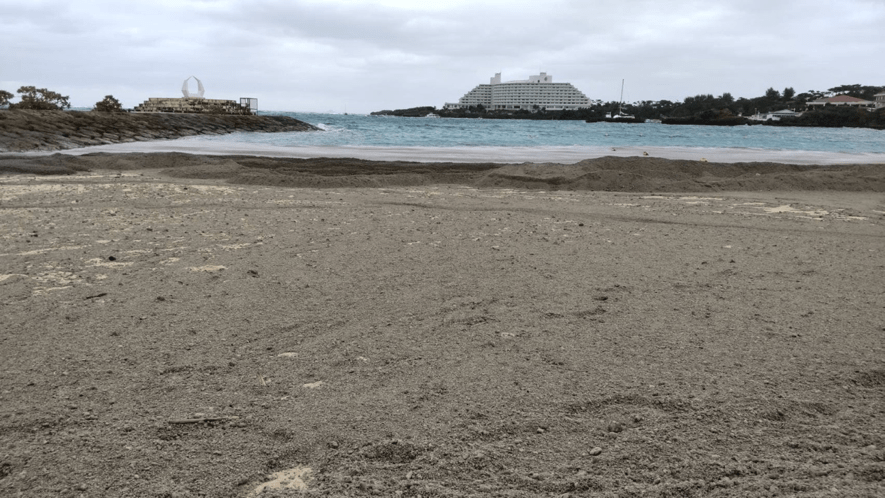 実証実験着手前の海岸の状況